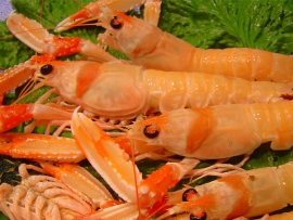 pescados_carmen_1 pescados_carmen_1